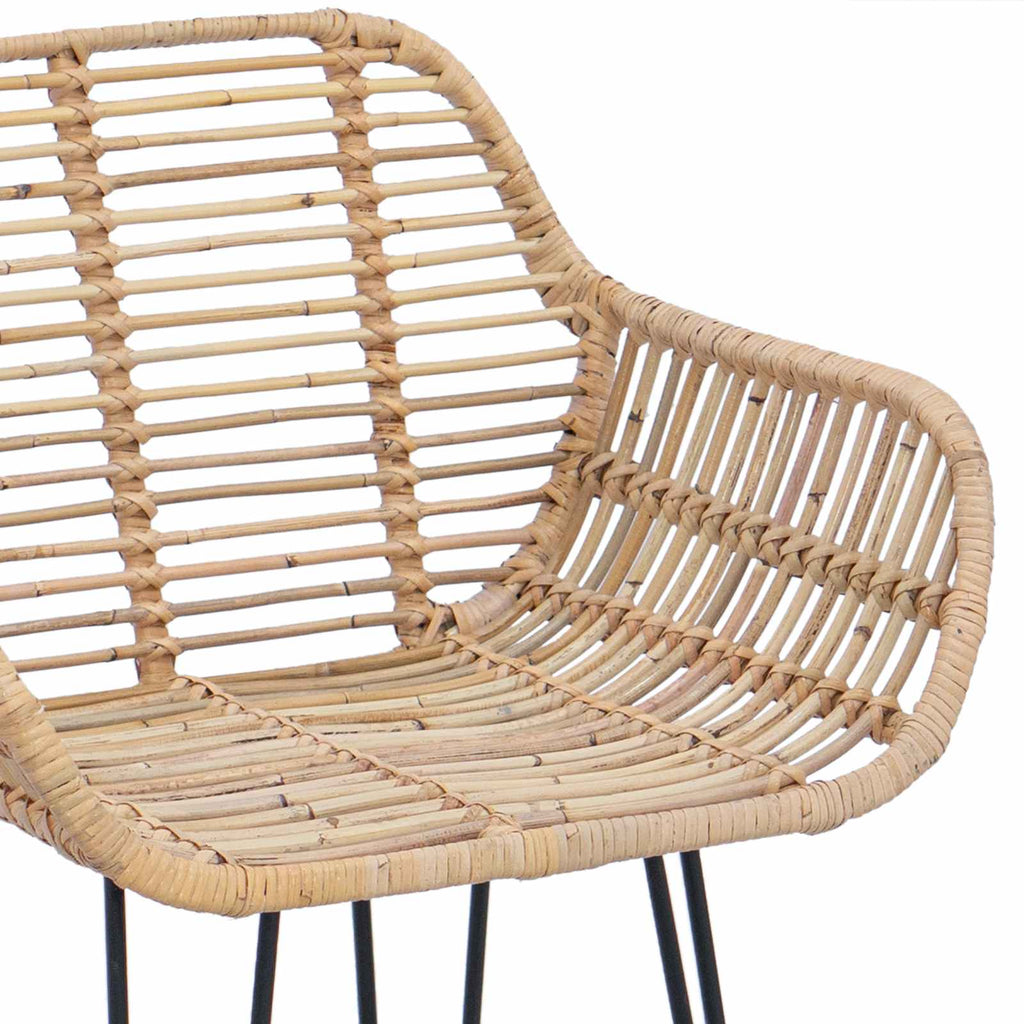 Silla de Bar 2 pcs 55 x 52 x 105 cm Ratan e Hierro