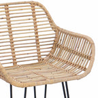 Silla de Bar 2 pcs 55 x 52 x 105 cm Ratan e Hierro
