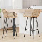 Silla de Bar 2 pcs 55 x 52 x 105 cm Ratan e Hierro