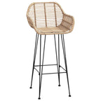 Silla de Bar 2 pcs 55 x 52 x 105 cm Ratan e Hierro