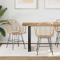 Cadeira de Jantar 2 pcs Rattan e Ferro Natural 57 x 55 x 85 cm