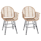 Silla de comedor 2 pcs Ratan e Hierro Natural 57 x 55 x 85 cm