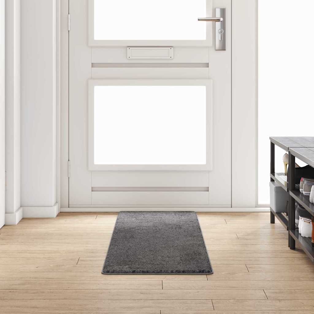 Runner de Alfombra Gris 50 x 100 cm