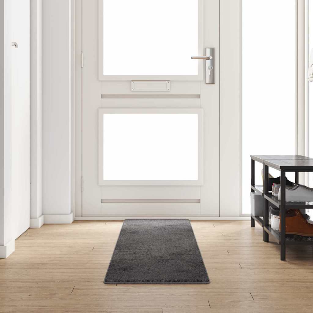 Runner de Alfombra Gris 50 x 100 cm