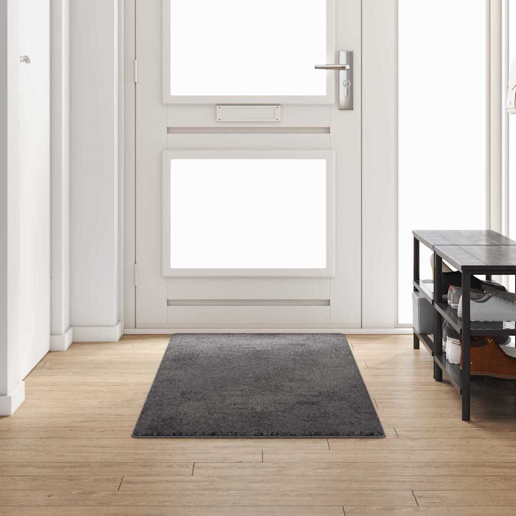Runner de Alfombra Gris 50 x 100 cm