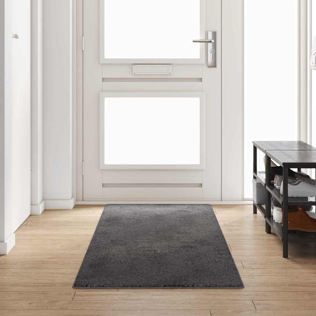 Runner de Alfombra Gris 50 x 100 cm