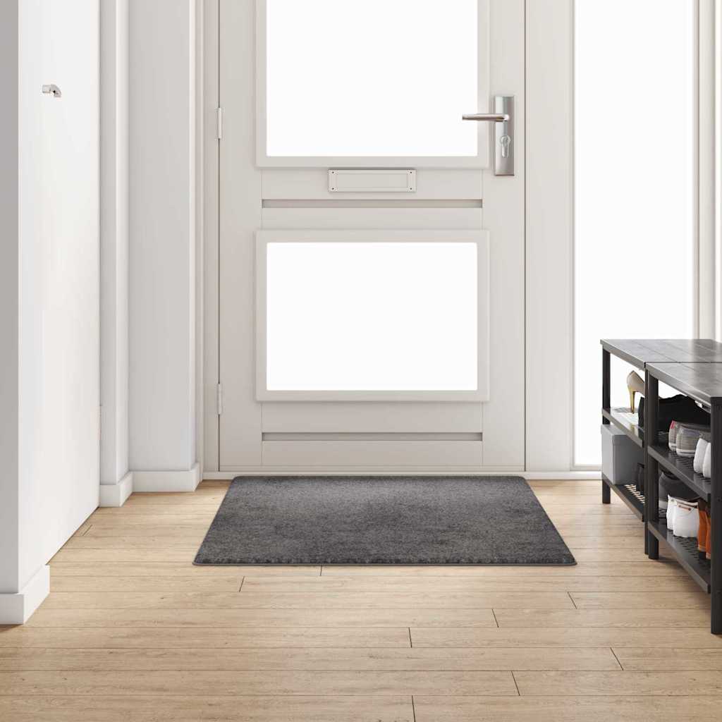 Runner de Alfombra Gris 50 x 100 cm