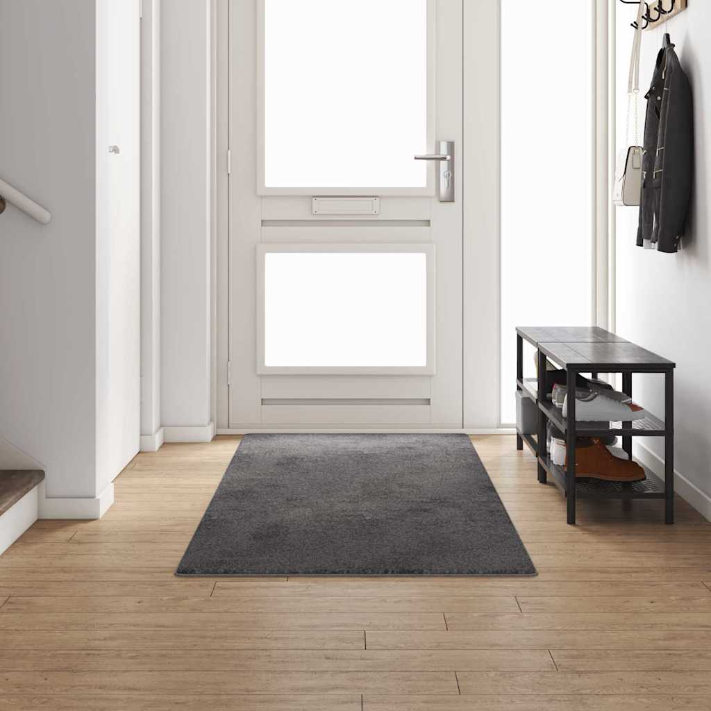 Runner de Alfombra Gris 50 x 100 cm