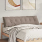 Beige Back Cushion 100 x 50 cm Microfiber fabric