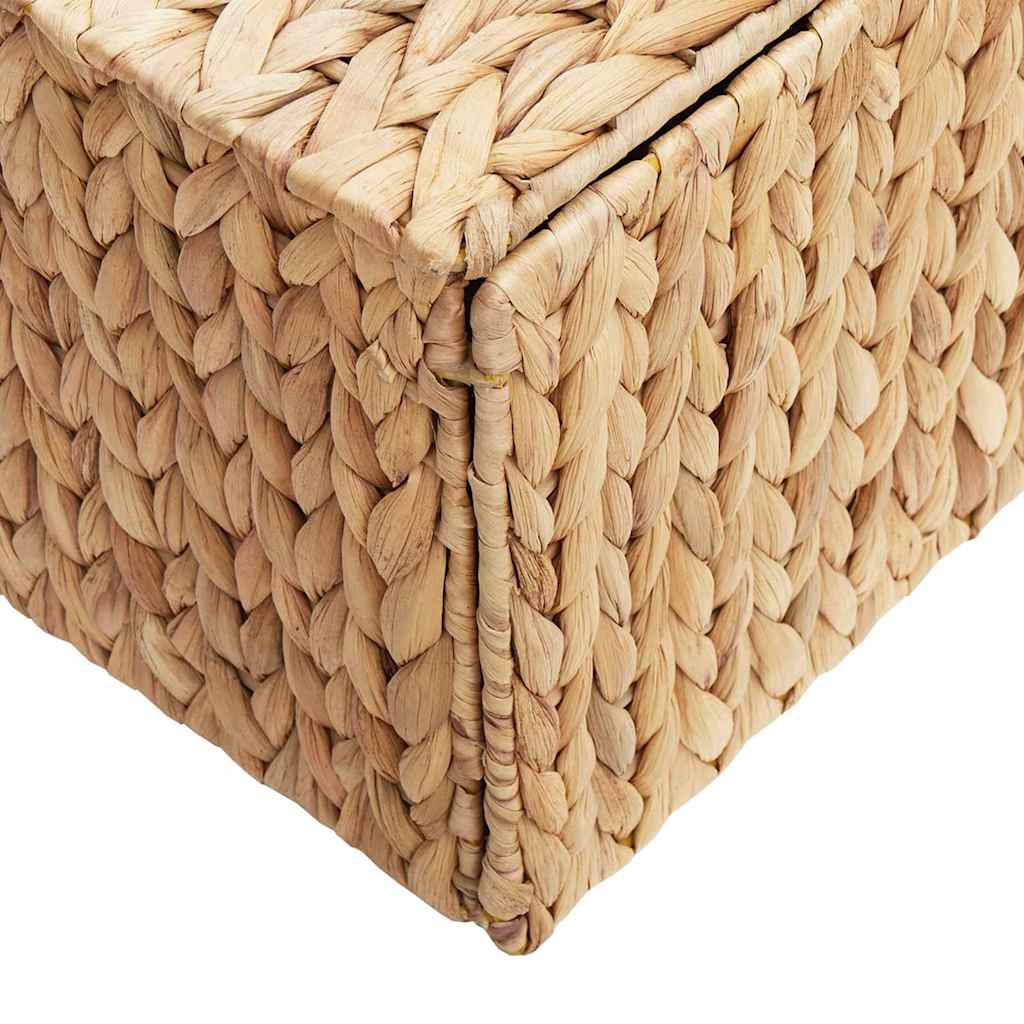 Caixa de Armazenamento Natural 60 x 38 x 20 cm Jacarandá-de-água
