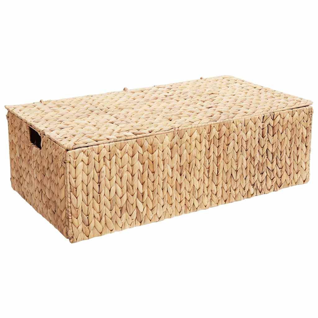 Caixa de Armazenamento Natural 60 x 38 x 20 cm Jacarandá-de-água