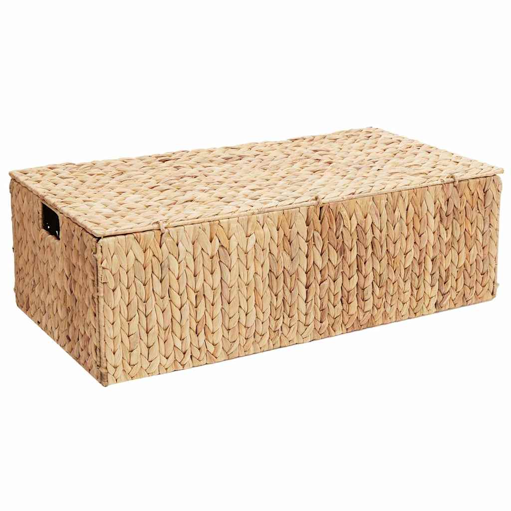 Caixa de Armazenamento Natural 60 x 38 x 20 cm Jacarandá-de-água