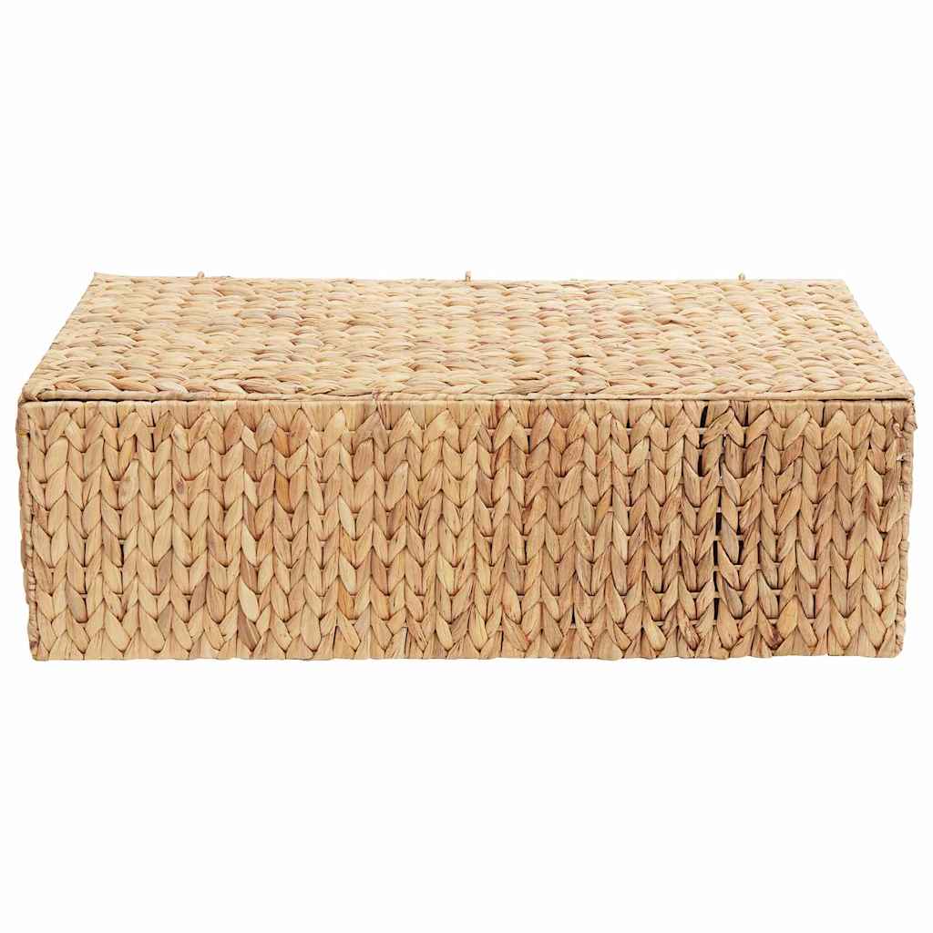 Caixa de Armazenamento Natural 60 x 38 x 20 cm Jacarandá-de-água