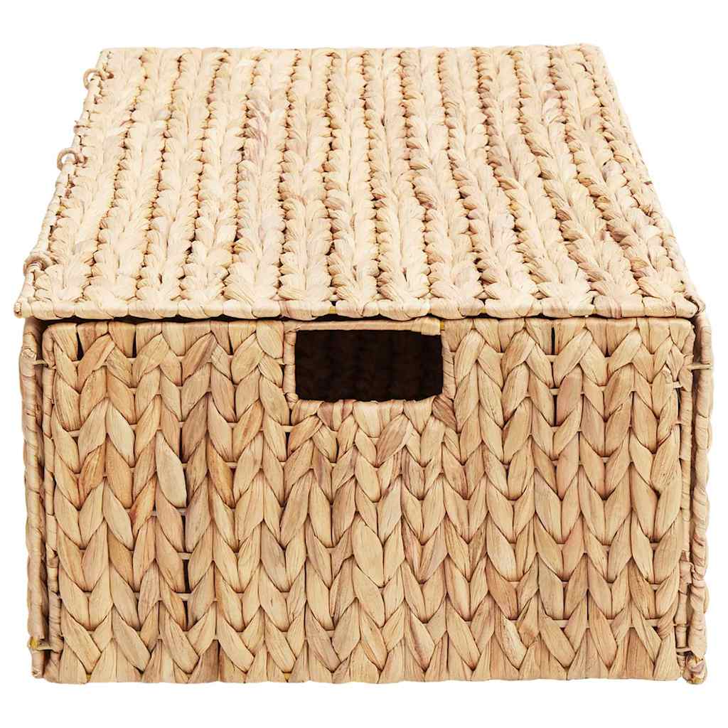 Caixa de Armazenamento Natural 60 x 38 x 20 cm Jacarandá-de-água