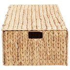 Caixa de Armazenamento Natural 60 x 38 x 20 cm Jacarandá-de-água