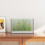 Acuario con almacenamiento Transparente 30 x 20 x 20 cm Cristal