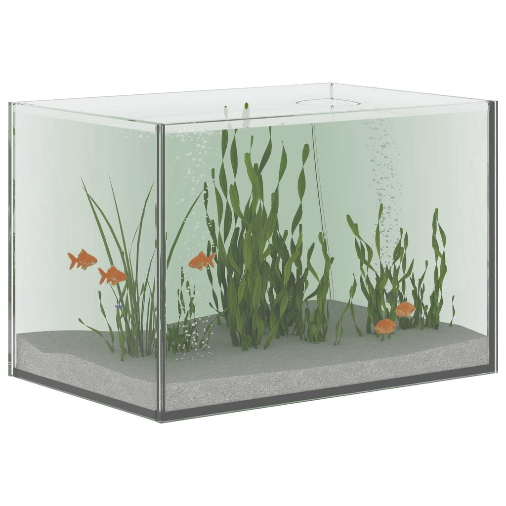 Acuario con almacenamiento Transparente 30 x 20 x 20 cm Cristal