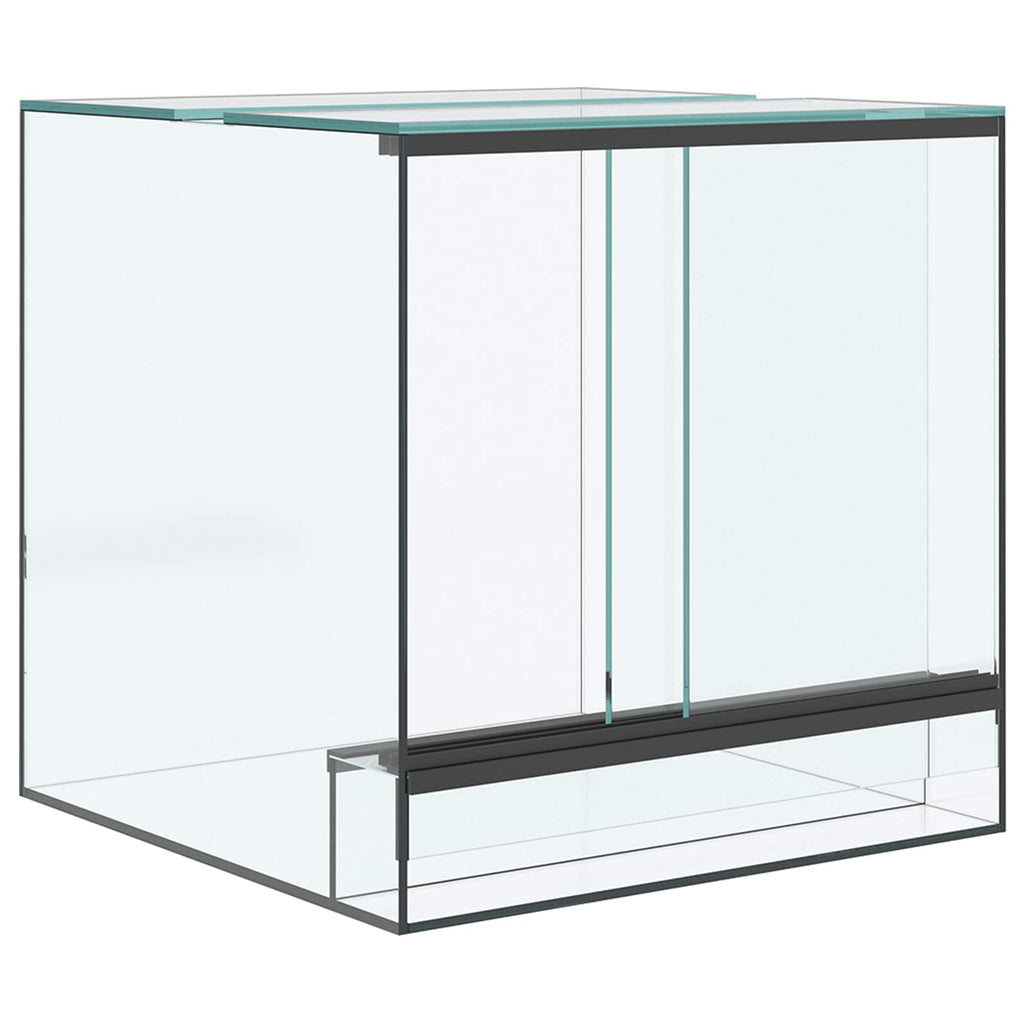 Terrario Transparente 30 x 30 x 30 cm Cristal
