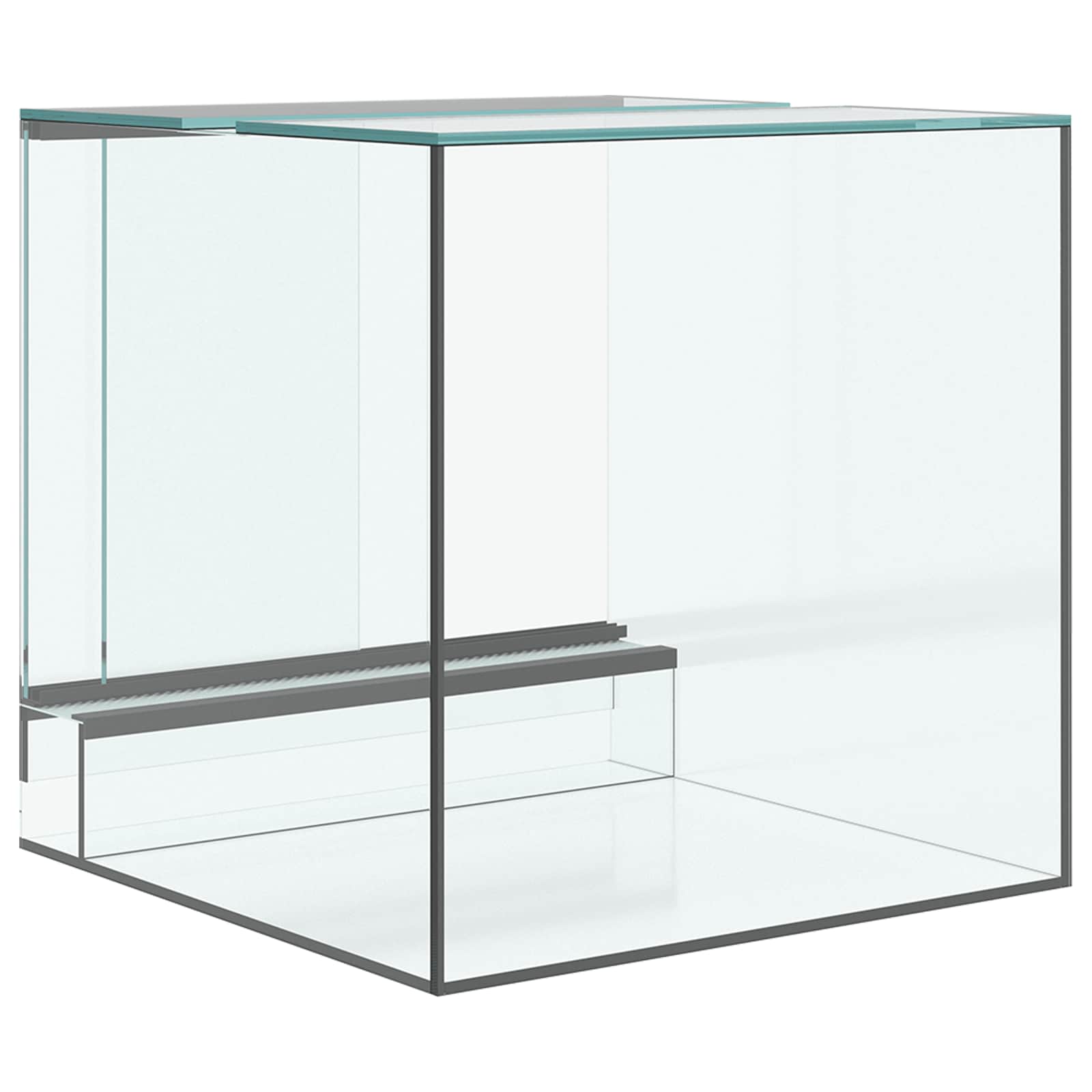 Terrario Transparente 30 x 30 x 30 cm Cristal