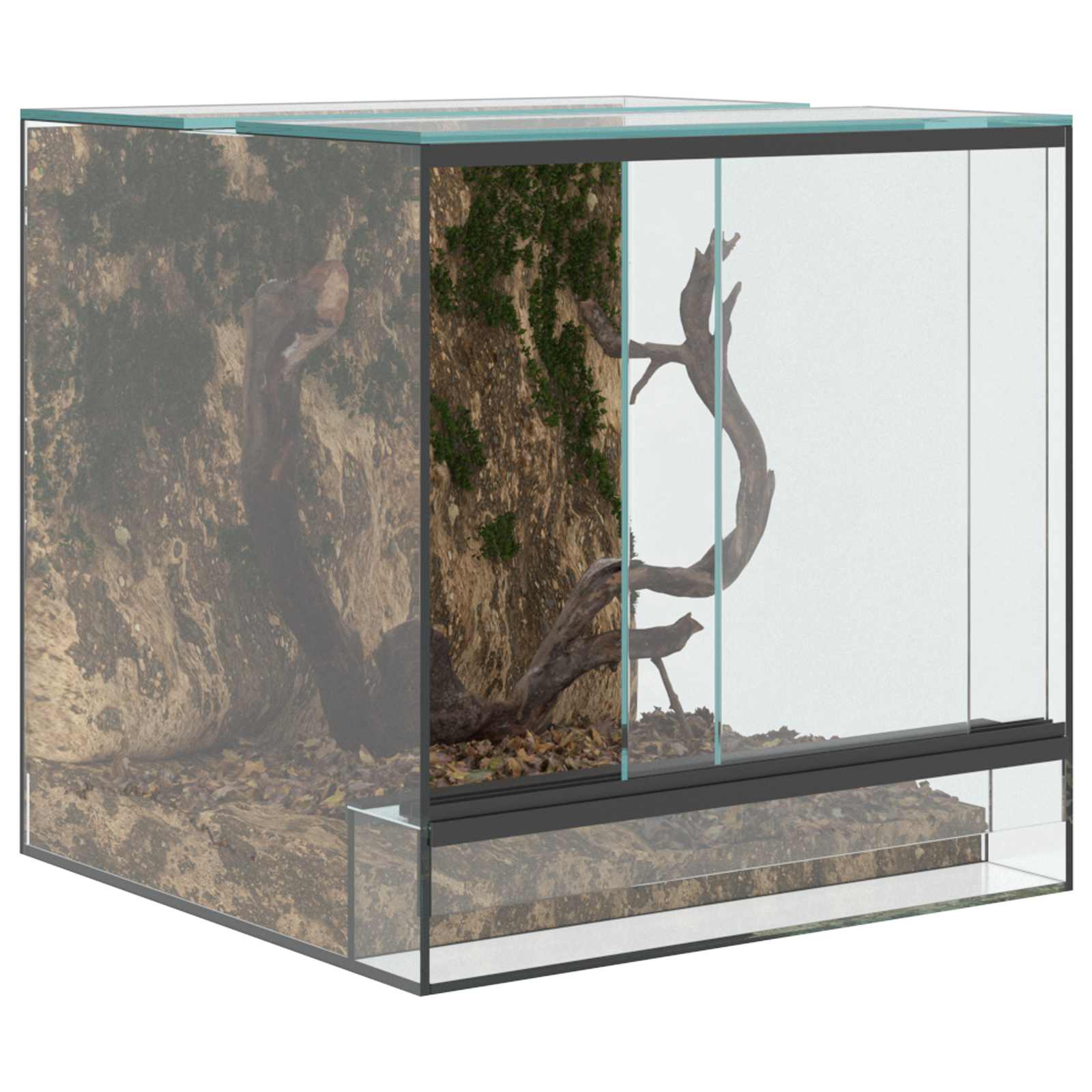 Terrario Transparente 30 x 30 x 30 cm Cristal