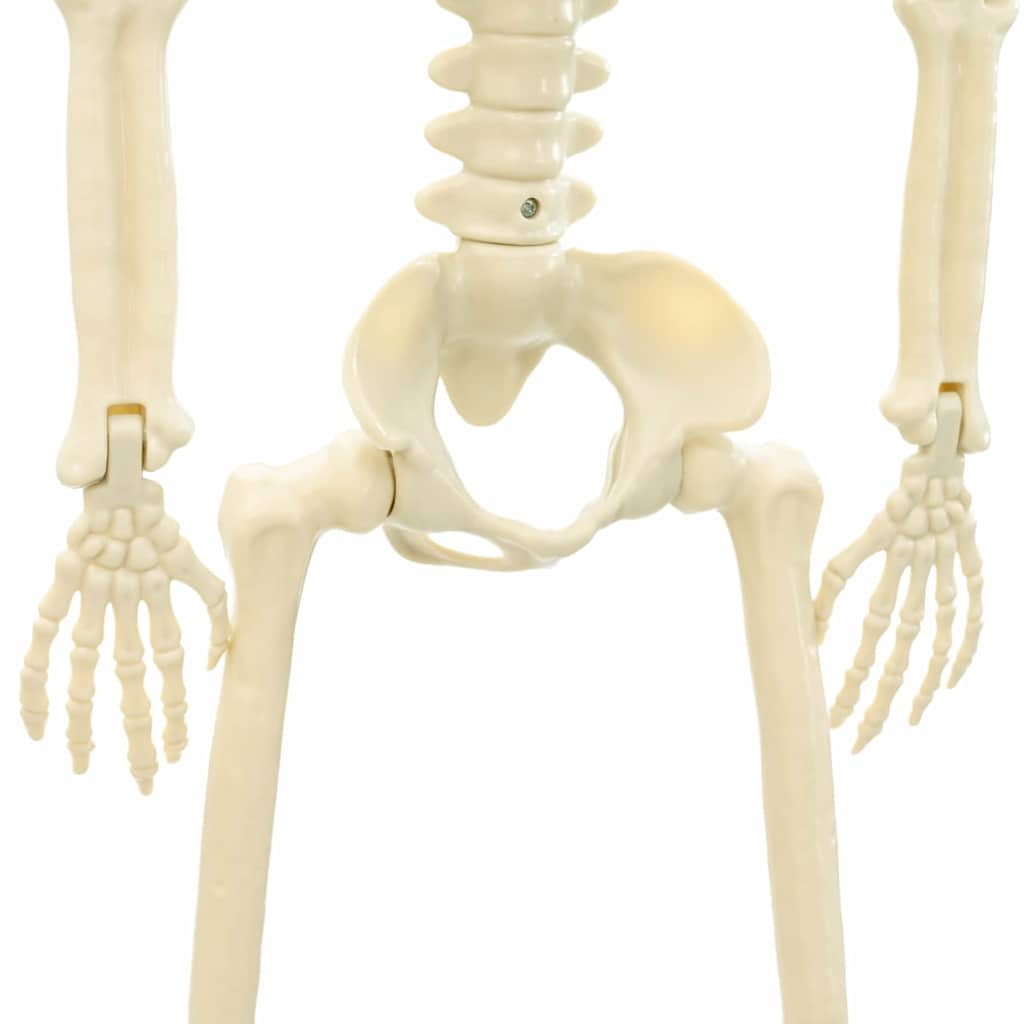 Esqueleto de Halloween 2 pcs 85 cm PVC