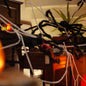 2 Pcs Black Halloween Spider Decoration with Spiderwebs and