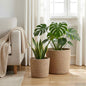 Conjunto de Vasos de Planta 2 unid. Natural Ø 21 x 21 cm
