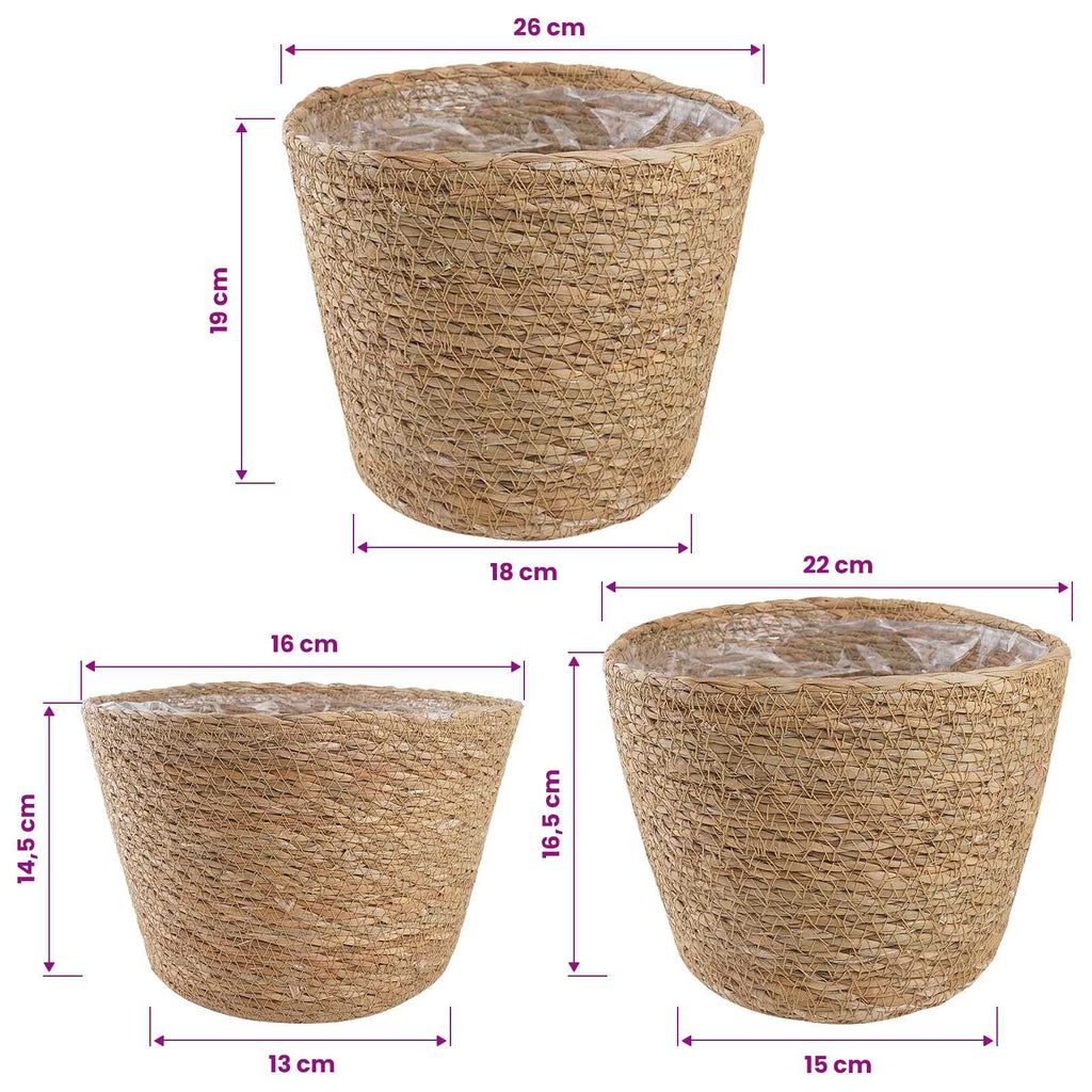 Cestas de plantas de hierba marina 3 pcs Natural Ø26 x 19 cm
