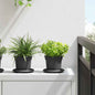 Maceta Redonda para Flores 24 pcs Negro Ø 12,5 x 10 cm Plástico