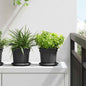 Maceta Redonda para Flores 24 pcs Negro Ø 12,5 x 10 cm Plástico