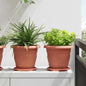Maceta Redonda para Flores 24 pcs Negro Ø 22 x 18 cm Plástico