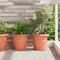 Maceta Redonda para Flores 24 pcs Negro Ø 22 x 18 cm Plástico