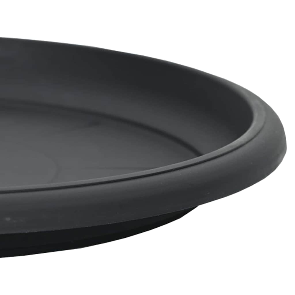 Bandeja Redonda para Flores 24 pcs Negro Ø 14 x 2 cm Plástico