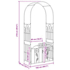 Arco de jardín con cerradura Negro 102 x 50 x 218 cm