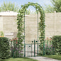 Garden Arch with Lock Black 102 x 50 x 218 cm
