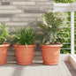 Pots 24 pcs Black Ø 22 x 18 cm Plastic