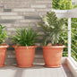 Pots 24 pcs Black Ø 22 x 18 cm Plastic