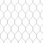 Jaula para pollos Plateado 170 x 100 x 177 cm Acero Galvanizado