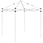Carpa Plegable para Fiestas 195 x 195 x 245 cm Azul Tela Oxford