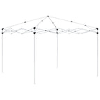 Carpa Plegable para Fiestas 290 x 290 x 245 cm Antracita