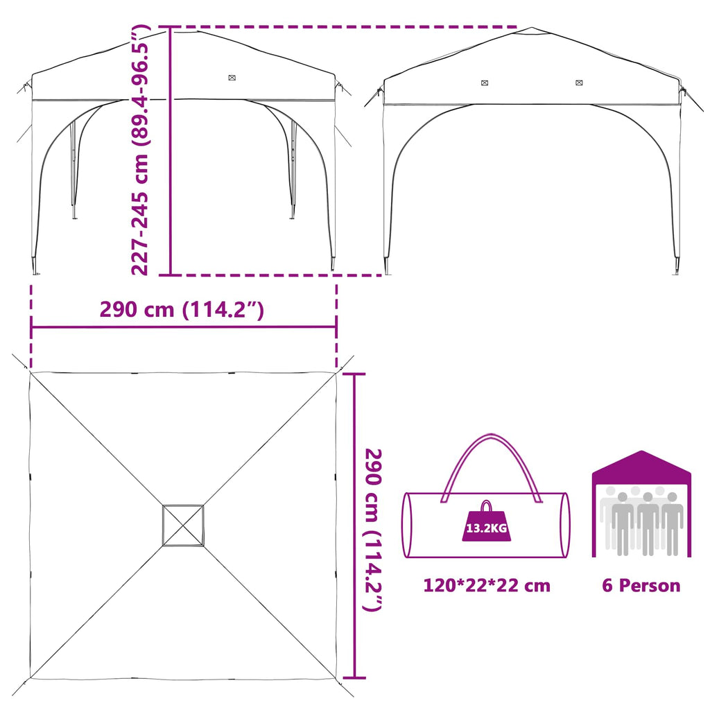 Carpa Plegable para Fiestas 290 x 290 x 245 cm Antracita