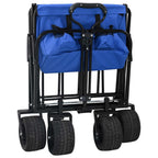 Carro Plegable Azul 89 x 63 x 96 cm