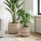 Pot Basket with Storage 2 pcs Gray Lacak Rattan