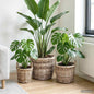 Plant Basket 3 pcs Gray Kubu Rattan Kubu