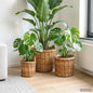 Plant Basket 3 pcs Gray Kubu Rattan Kubu