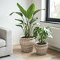 Basket for Plants with storage 2 pcs Grey Rattan Lacak