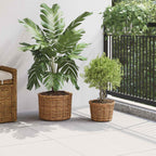 Cesta para Plantas con almacenamiento 3 pcs Marrón Ratán Kubu