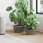Basket for Plants with storage 2 pcs Grey Rattan Lacak