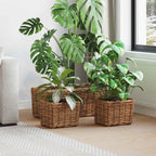 Cesta para Plantas con almacenamiento 3 pcs Marrón Ratán Kubu