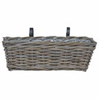 Cesta Colgante para Plantas 2 pcs Gris 48 x 22 x 15 cm